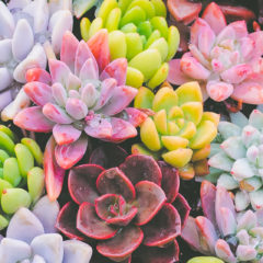 ネクタイをプレゼントする隠された意味とは？【むしろ選ぶべきギフト】